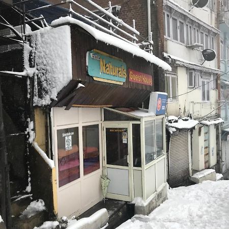 Exotic Naturals Guest House Shimla Eksteriør bilde
