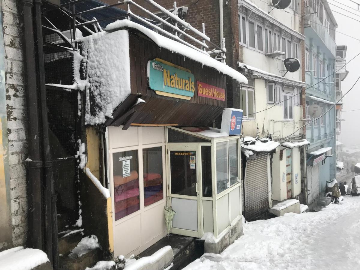Exotic Naturals Guest House Shimla Eksteriør bilde